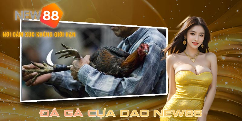 Đá gà cựa dao đã xuất hiện từ rất lâu ở các quốc gia Đông Nam Á