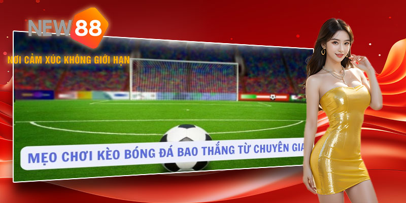 Mẹo chơi kèo bóng đá bao thắng từ chuyên gia